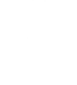 award-2