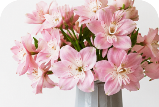 Self-Care for Family Caregivers